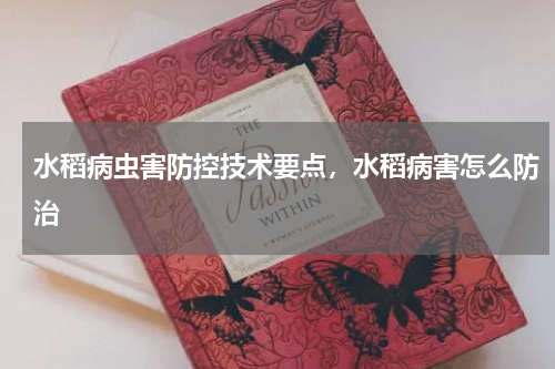 水稻病虫害防控技术要点，水稻病害怎么防治
