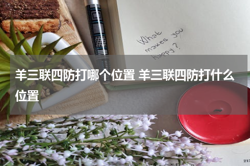 羊三联四防打哪个位置 羊三联四防打什么位置