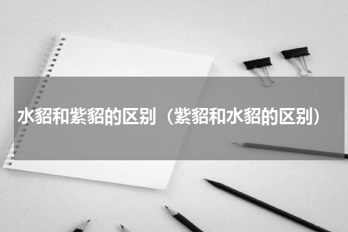 水貂和紫貂的区别（紫貂和水貂的区别）