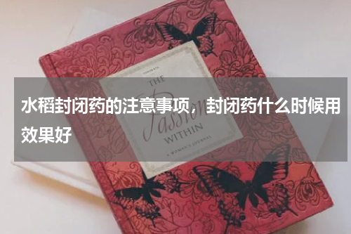 水稻封闭药的注意事项，封闭药什么时候用效果好