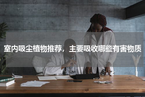 室内吸尘植物推荐，主要吸收哪些有害物质