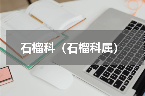 石榴科（石榴科属）
