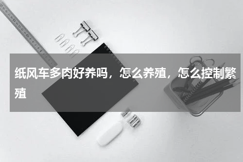 纸风车多肉好养吗，怎么养殖，怎么控制繁殖