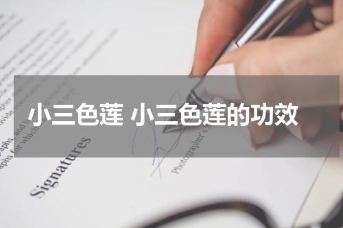小三色莲 小三色莲的功效