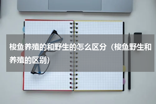 梭鱼养殖的和野生的怎么区分（梭鱼野生和养殖的区别）