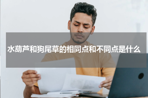 水葫芦和狗尾草的相同点和不同点是什么