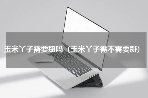 玉米丫子需要掰吗（玉米丫子需不需要掰）