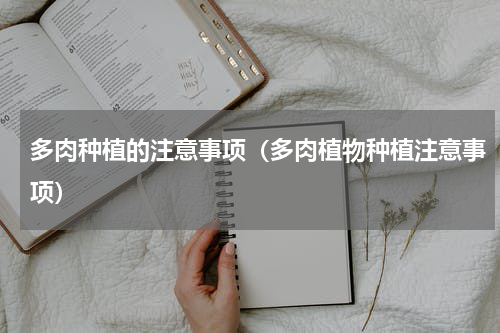 多肉种植的注意事项（多肉植物种植注意事项）