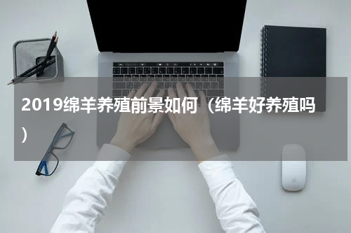 2019绵羊养殖前景如何（绵羊好养殖吗）