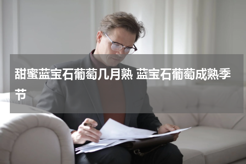 甜蜜蓝宝石葡萄几月熟 蓝宝石葡萄成熟季节