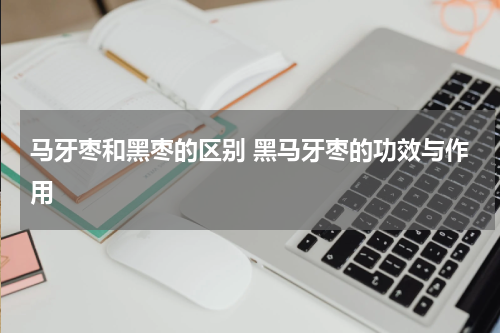 马牙枣和黑枣的区别 黑马牙枣的功效与作用