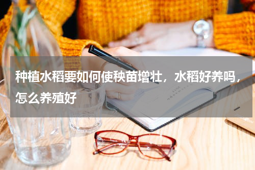 种植水稻要如何使秧苗增壮，水稻好养吗，怎么养殖好