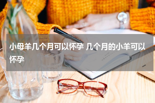 小母羊几个月可以怀孕 几个月的小羊可以怀孕
