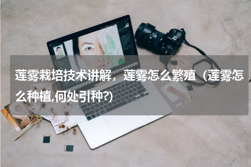 莲雾栽培技术讲解，莲雾怎么繁殖（莲雾怎么种植,何处引种?）