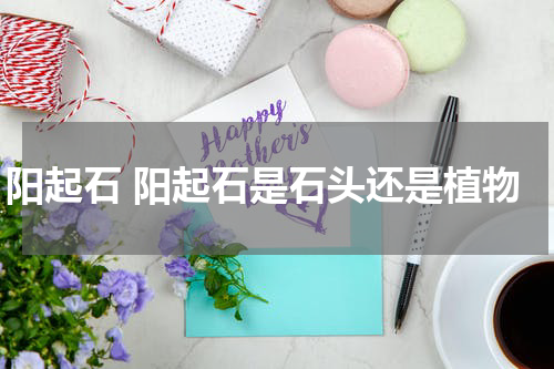阳起石 阳起石是石头还是植物