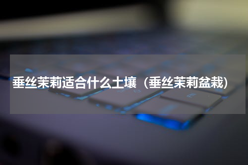 垂丝茉莉适合什么土壤（垂丝茉莉盆栽）