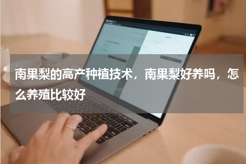 南果梨的高产种植技术，南果梨好养吗，怎么养殖比较好