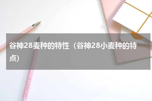 谷神28麦种的特性（谷神28小麦种的特点）