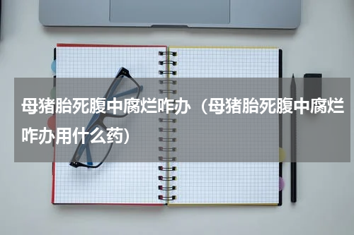 母猪胎死腹中腐烂咋办（母猪胎死腹中腐烂咋办用什么药）