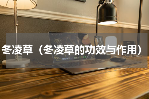 冬凌草（冬凌草的功效与作用）
