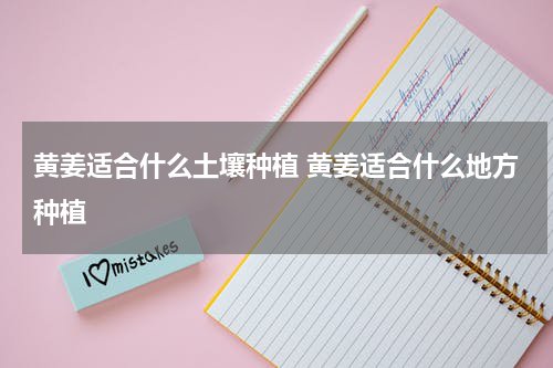 黄姜适合什么土壤种植 黄姜适合什么地方种植
