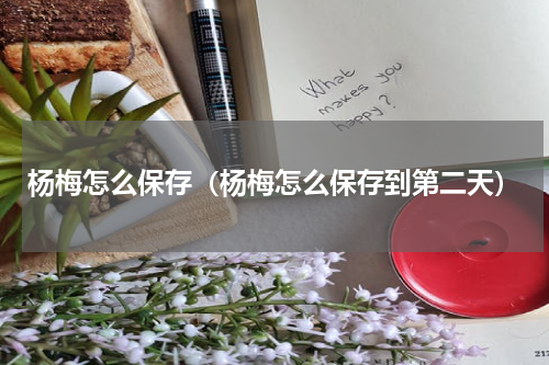 杨梅怎么保存（杨梅怎么保存到第二天）