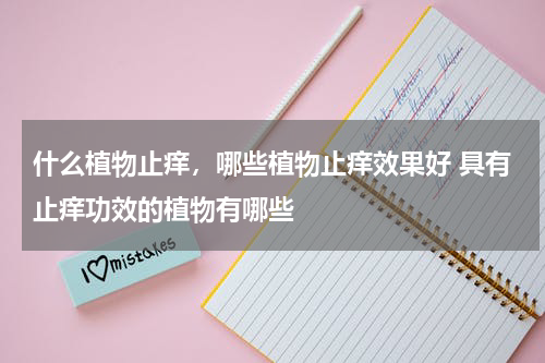 什么植物止痒，哪些植物止痒效果好 具有止痒功效的植物有哪些