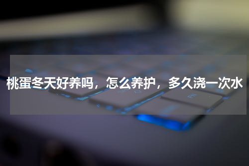 桃蛋冬天好养吗，怎么养护，多久浇一次水