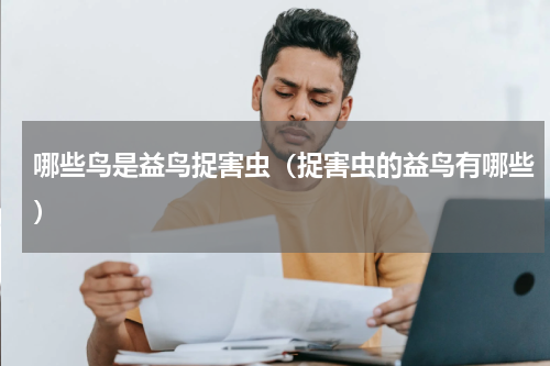 哪些鸟是益鸟捉害虫（捉害虫的益鸟有哪些）