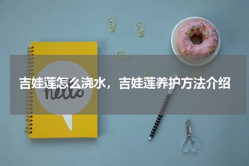 吉娃莲怎么浇水，吉娃莲养护方法介绍