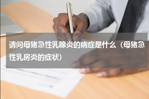 请问母猪急性乳腺炎的病症是什么（母猪急性乳房炎的症状）