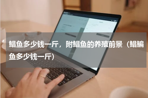 鲳鱼多少钱一斤，附鲳鱼的养殖前景（鲳鳊鱼多少钱一斤）