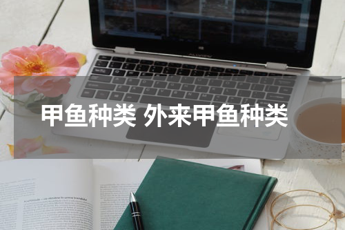 甲鱼种类 外来甲鱼种类