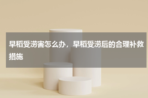 早稻受涝害怎么办，早稻受涝后的合理补救措施
