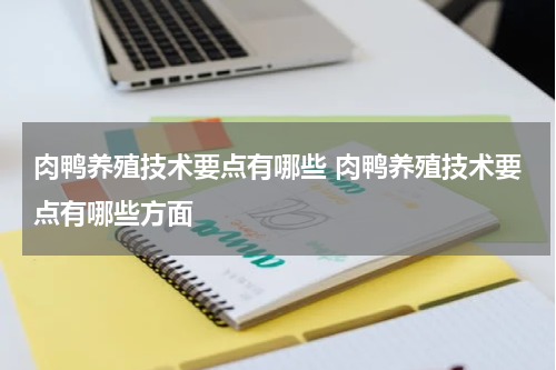 肉鸭养殖技术要点有哪些 肉鸭养殖技术要点有哪些方面