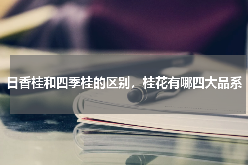 日香桂和四季桂的区别，桂花有哪四大品系
