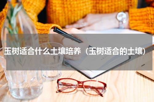 玉树适合什么土壤培养（玉树适合的土壤）