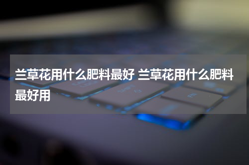 兰草花用什么肥料最好 兰草花用什么肥料最好用