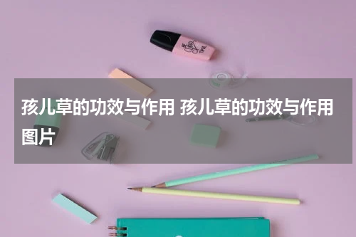 孩儿草的功效与作用 孩儿草的功效与作用图片