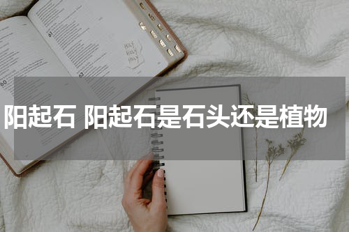 阳起石 阳起石是石头还是植物