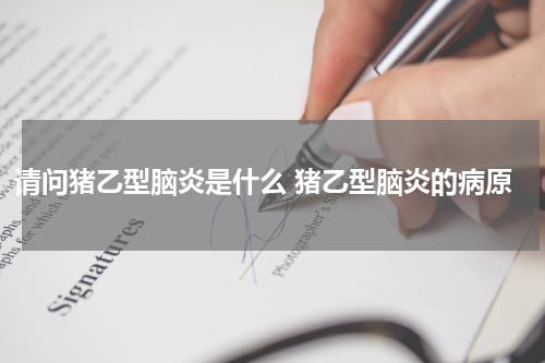 请问猪乙型脑炎是什么 猪乙型脑炎的病原