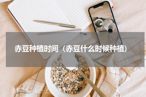 赤豆种植时间（赤豆什么时候种植）
