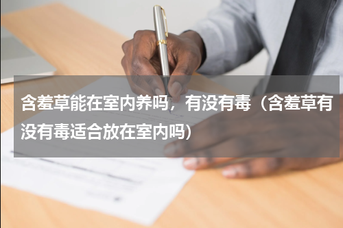 含羞草能在室内养吗，有没有毒（含羞草有没有毒适合放在室内吗）