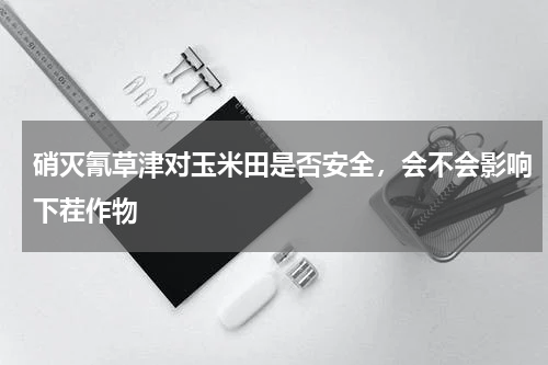 硝灭氰草津对玉米田是否安全，会不会影响下茬作物