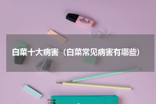 白菜十大病害（白菜常见病害有哪些）