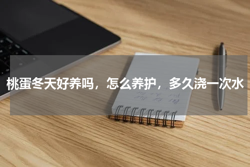 桃蛋冬天好养吗，怎么养护，多久浇一次水