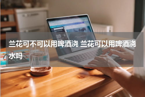 兰花可不可以用啤酒浇 兰花可以用啤酒浇水吗