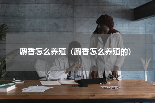 麝香怎么养殖（麝香怎么养殖的）