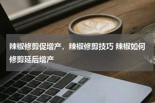 辣椒修剪促增产，辣椒修剪技巧 辣椒如何修剪延后增产