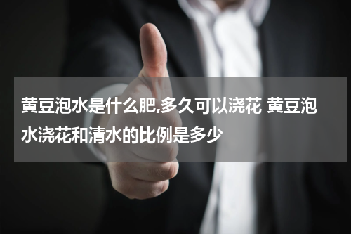 黄豆泡水是什么肥,多久可以浇花 黄豆泡水浇花和清水的比例是多少